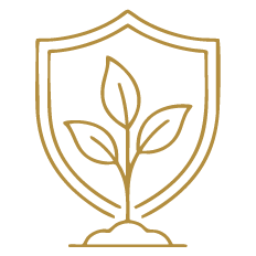 Pesticide-Reduced Cultivation System