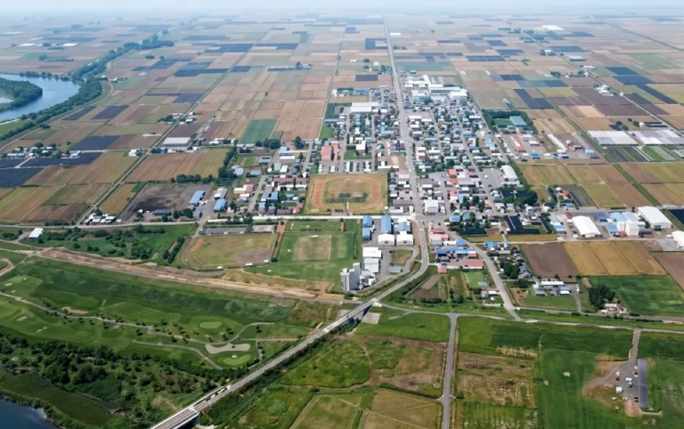 Overview