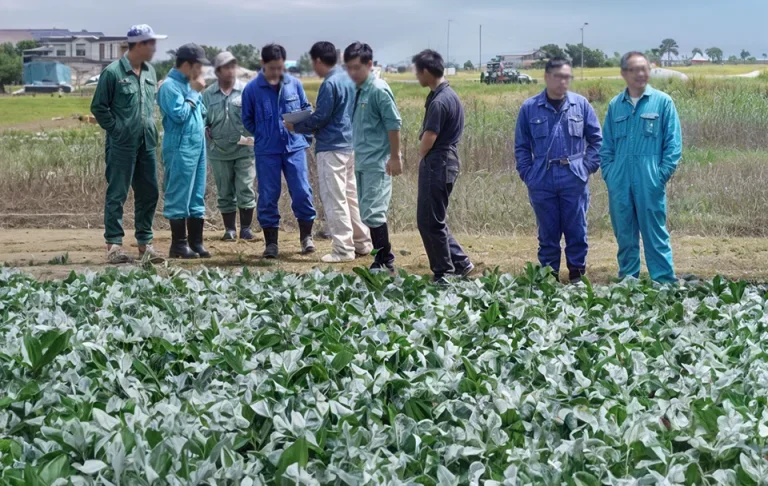 Clean Farming Initiatives